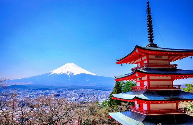 Mount fuji and Hakone Full day private sightseeing tour