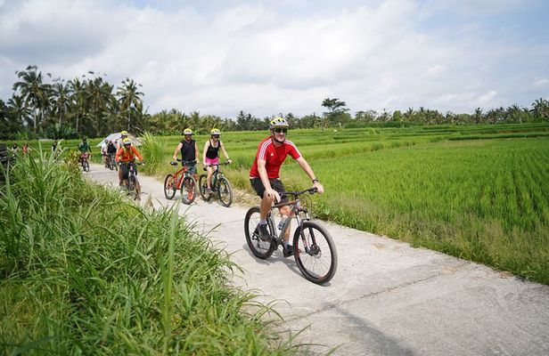 Electric Bike and Swing Package
