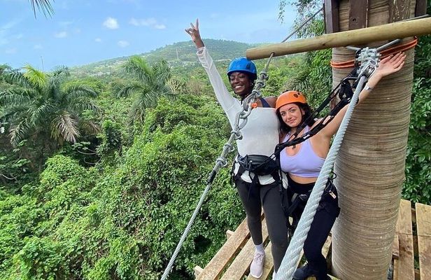 Adventure Trail Tour in the foothills of the National Rainforest