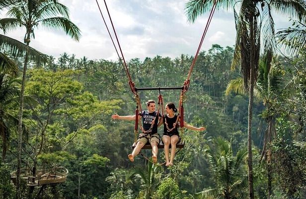 Private Tour in Ubud with Jungle Swing