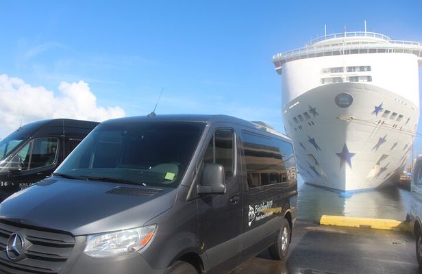 Private Shore Excursion Hilo Volcanoes National Park up to 10 PPL