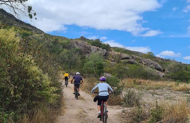 MTB Bike Tour: Tule Tree through the country-side