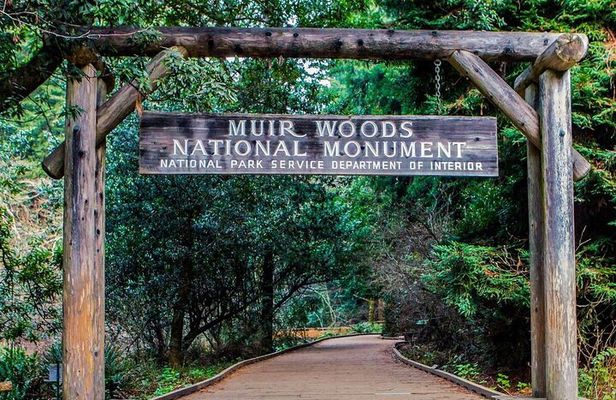 Private Muir Woods, Sausalito, and Marin Headlands Tour