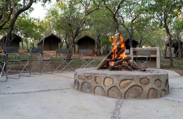 5 Day Kruger Glamping Safari and Panorama Tour