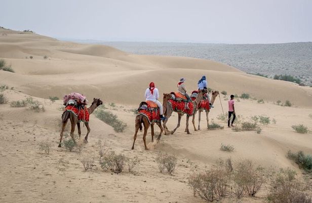 Half Day Sunset Camel Safari Jaisalmer