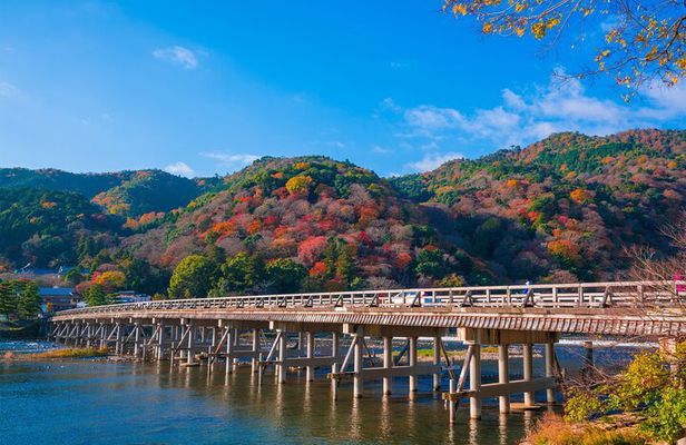 Kyoto Arashiyama Bamboo Forest & Scenery Customized Private Tour