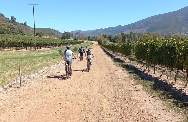Franschhoek Shared E-Bike and Wine Tour
