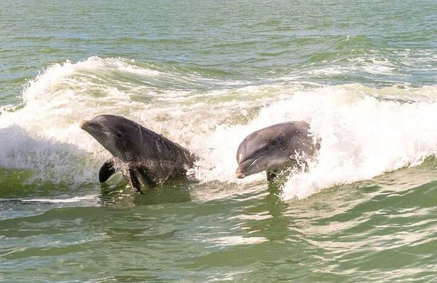 Everglades Kayak & Canoe Rentals