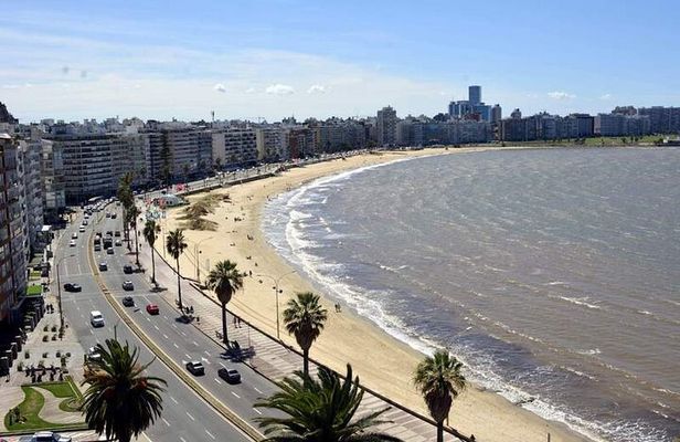 Half Day Private Montevideo City Tour
