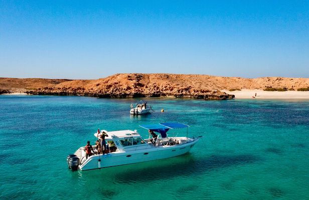 Snorkelling Trip at Dimaniyat Islands