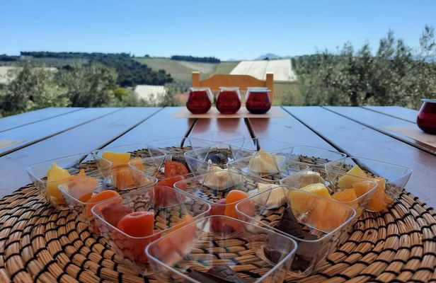 Private tour in Nafplio with Olive oil Tasting Tour in Corinth