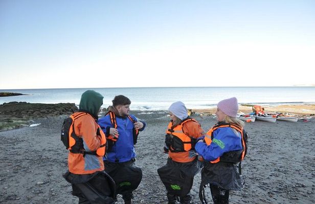 Kayak Paddling Experience with Sea Lions in Puerto Madryn