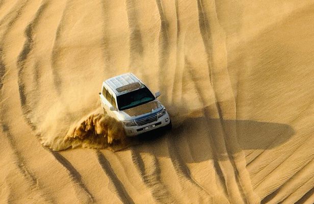Evening Desert Safari Abu Dhabi with BBQ Dinner & Shows