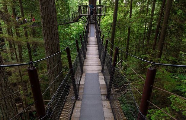 Private Grouse Mountain and Capilano Park Tour in Vancouver