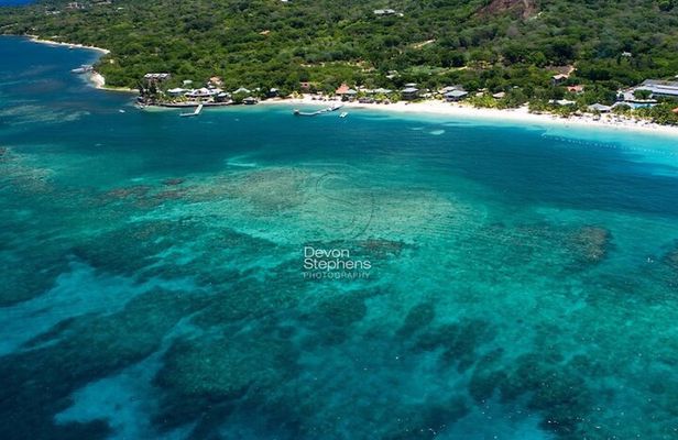 Roatan Zipline & Snorkel Tour Combo Experience