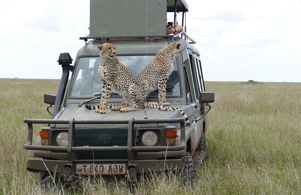 5 Days in to the heart of serengeti