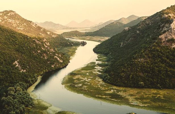From Virpazar: Guided Skadar Lake Cruise and Crnojevića River