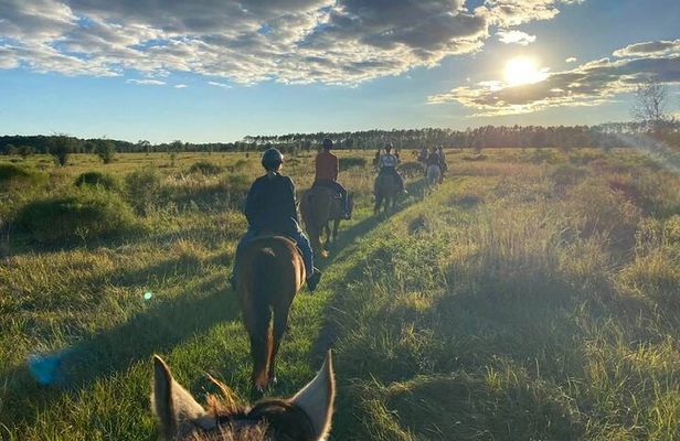 Horseback Ride on Scenic Lake Louisa Trails