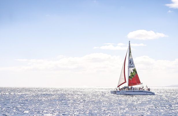 Waikoloa Turtle Catamaran Snorkel Sail