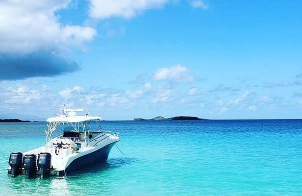 Private Tour to Cayo Icacos and Palomino Island