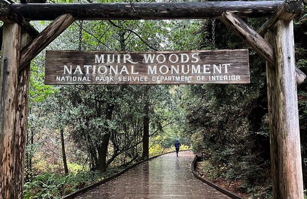 Muir Woods and Sausalito Private Tour
