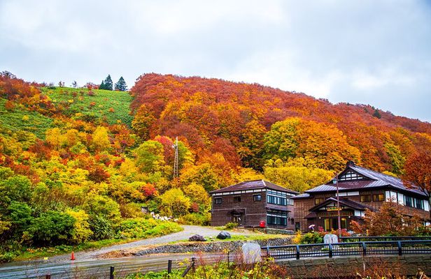 Aomori Private Customizable 6-Hour Tour