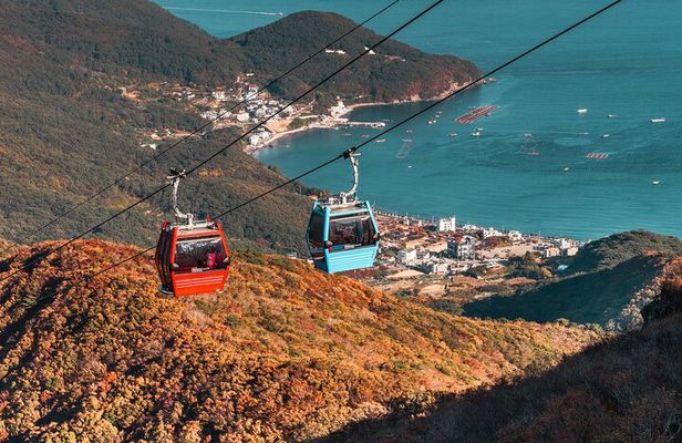 Enchanting Oedo Island Day Tour from Busan with Windy Hill