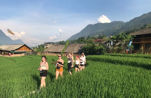 From Hà Nội : Sapa trek with local guide 2 days 1 night 