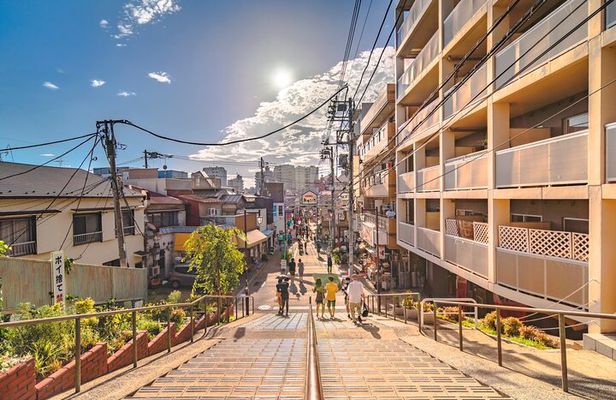 Tokyo Full Day Private Explorer Walking Tour