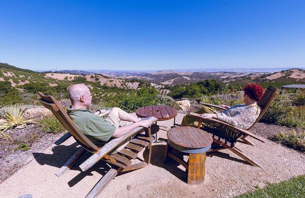 3-Winery Tour Includes Tastings & Lunch from Paso/Atascadero