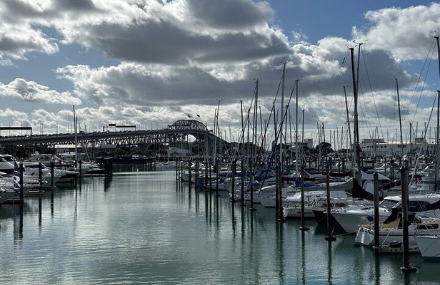 GoGuided Auckland City Tour (Car/Van)