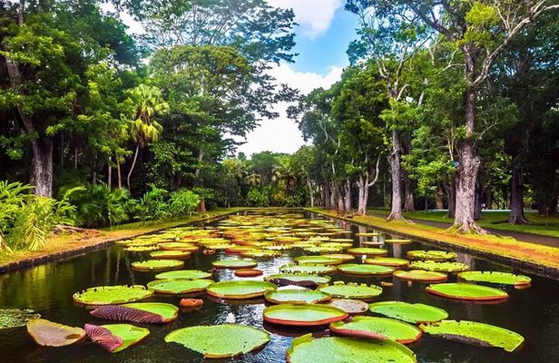 Magical North: Full Day Private guided North Tour