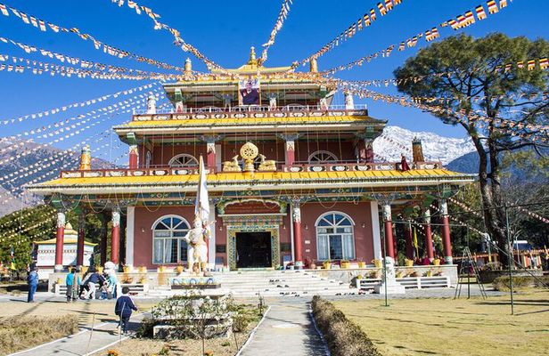 Palampur's Guided Day Tour: Discover the Tea Capital.