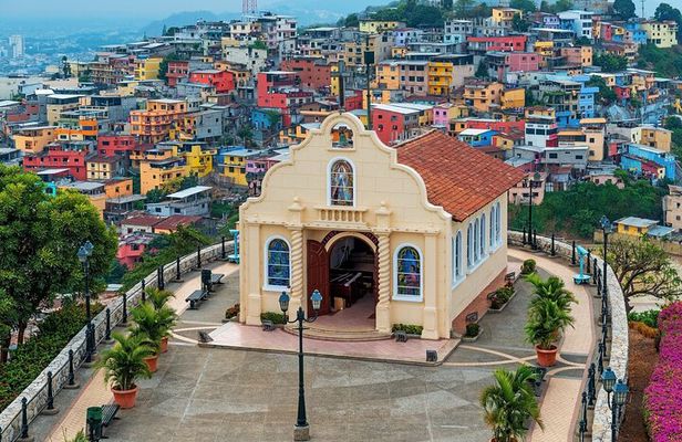 Half Day Private Tour in Guayaquil