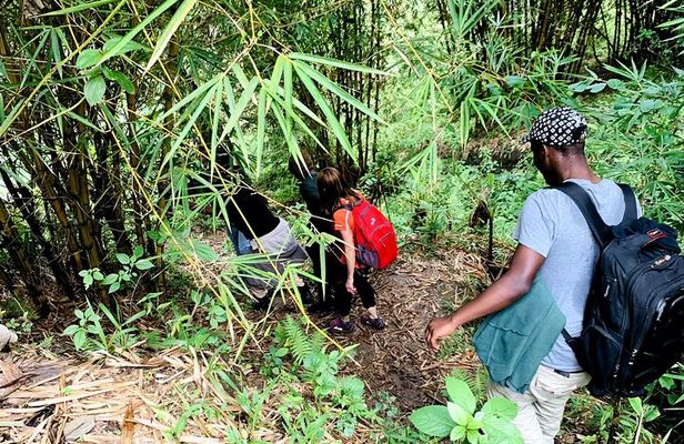 Hiking Binana Mountain & Waterfalls in Rwanda