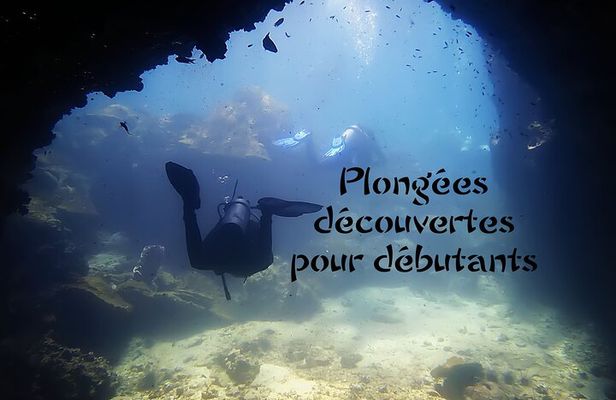 Private Scuba Diving Initiation with Licensed Guide