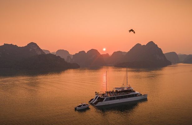 Full Day Group Tour in Halong