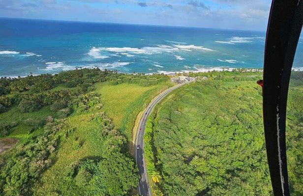 Private 45-Minute Helicopter Tour across Puerto Rico