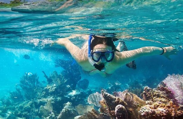 4 Hours Private Tour with Snorkel Experience in Roatan