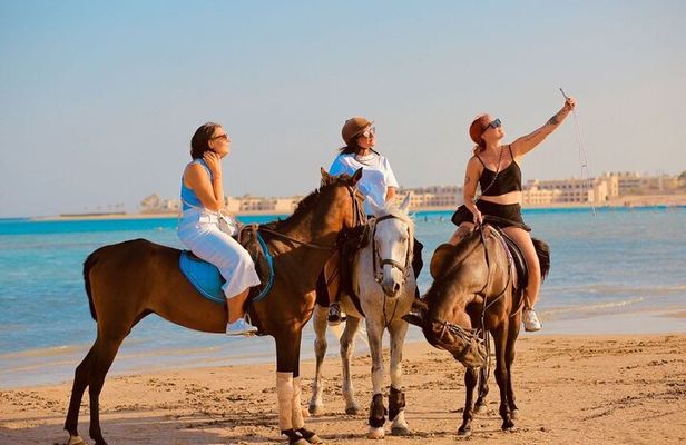 1-Hour Horse Ride Adventure in Sharm El-Sheikh