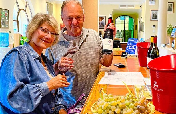 3 hours of Tour in the Wines of Châteauneuf-du-Pape