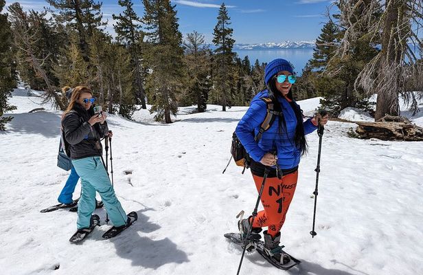 Chickadee Ridge Beginner Snowshoe Activity