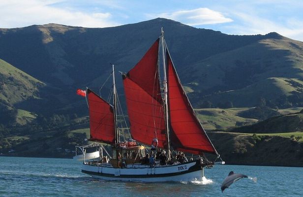 Akaroa Fox 2 Sailing and Wildlife Tour