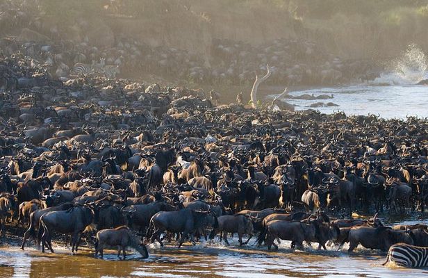 4 Days in the Wild: Explore Cultural Tour, Serengeti & Ngorongoro