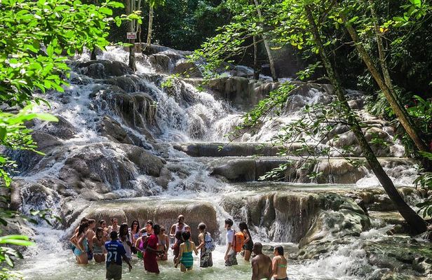 Private Tour to Dunns River Falls & Bob Marley Nine Mile w Entry