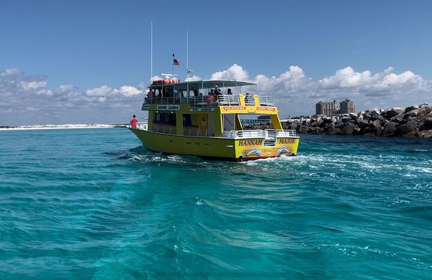 Dolphin & Sunset Cruises