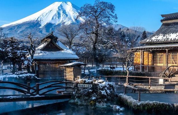 Full Day Private Tour in Mt. Fuji and Hakone
