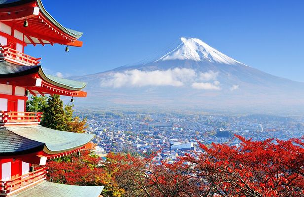 Mt. Fuji & Hakone Private Day Tour with English-Speaking Driver