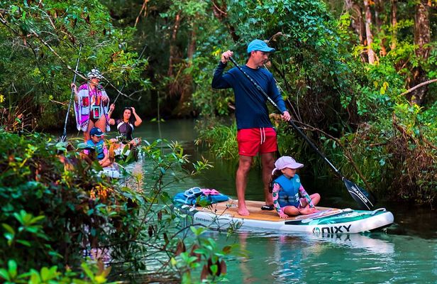 Rainbow Springs Crystal Clear Paddle Board Eco Tour