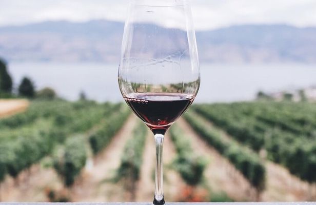 Kefalonia Wine Adventure in 3 Wineries With Tastings